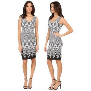 Calvin Klein Sleeveless V-Neck Sheath Dress Black White 8
